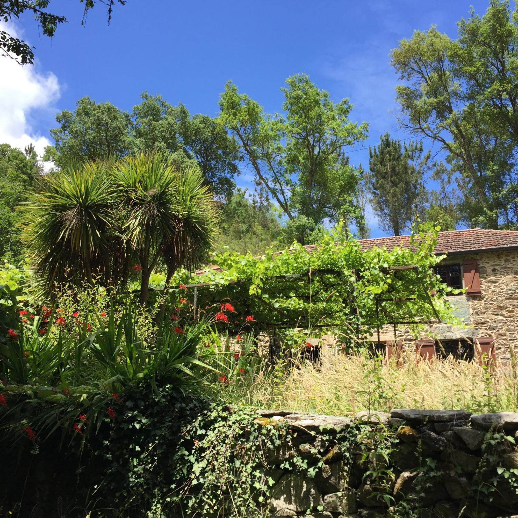 O Muino Da Balsina Villa Toiriz Exteriör bild